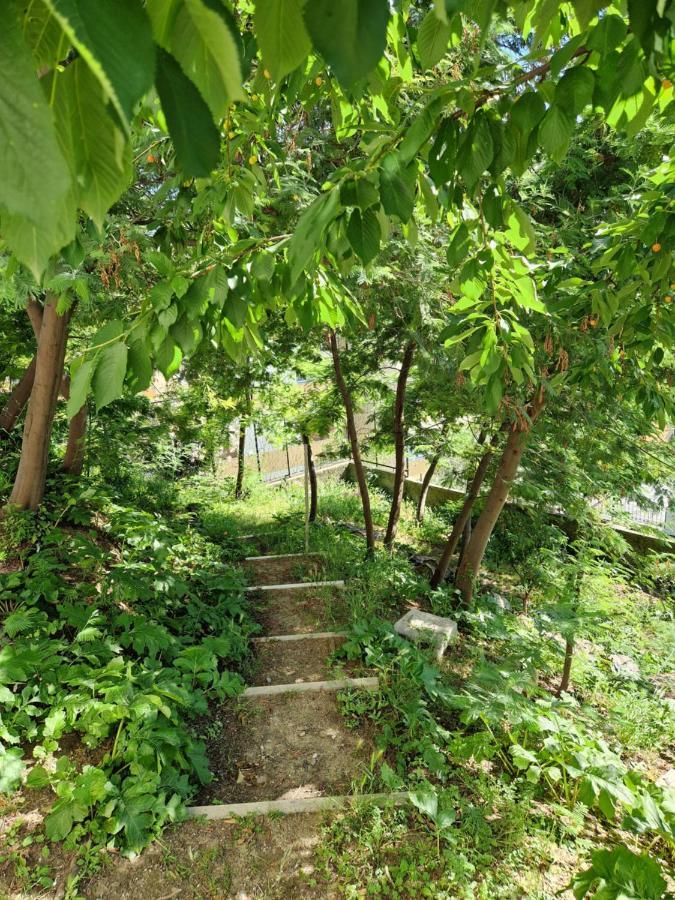 Garden & View Appartement La Spezia Buitenkant foto